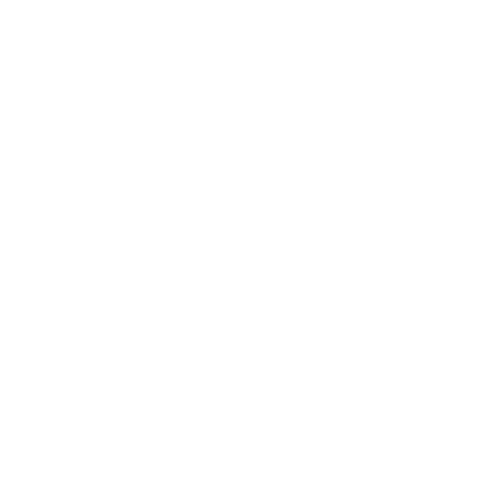 StarnetOne — Kundenreferenz